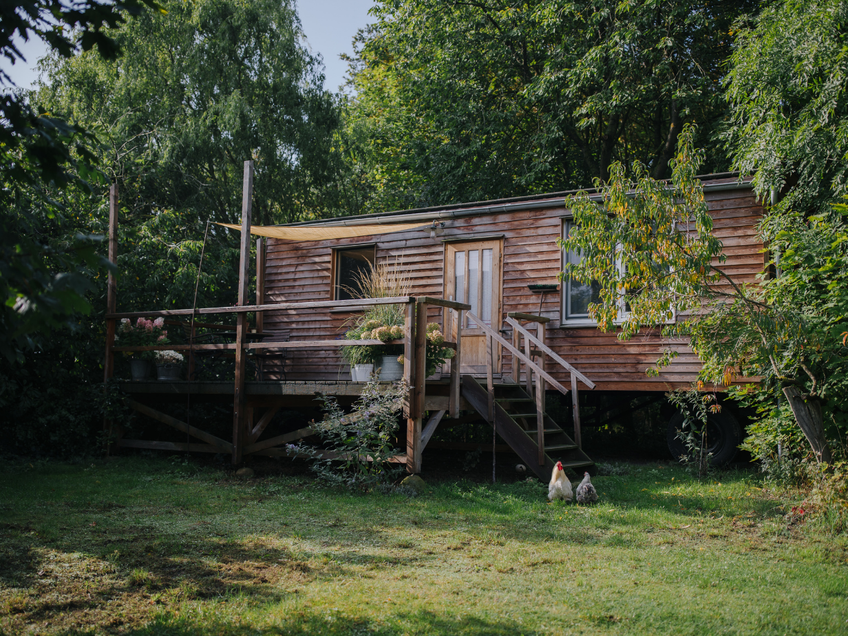 Houten tiny house op wielen met terras, omringd door bomen en groen, met twee kippen in de tuin.
