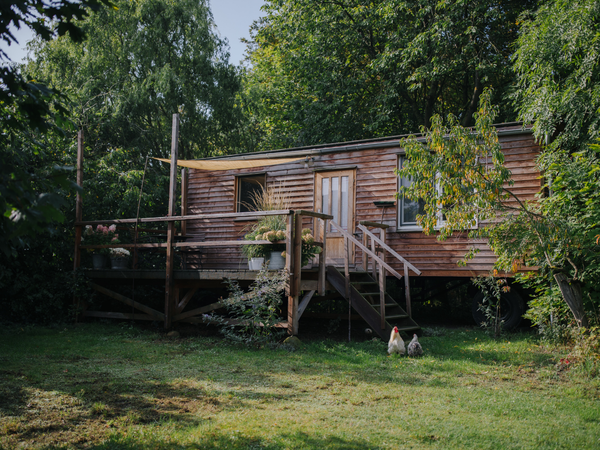 Houten tiny house op wielen met terras, omringd door bomen en groen, met twee kippen in de tuin