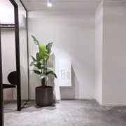 Design brandblushouder wit met laser cutting van brandblusser-symbool aan witte muur naast plant